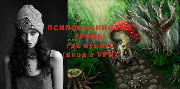 гашик Абаза