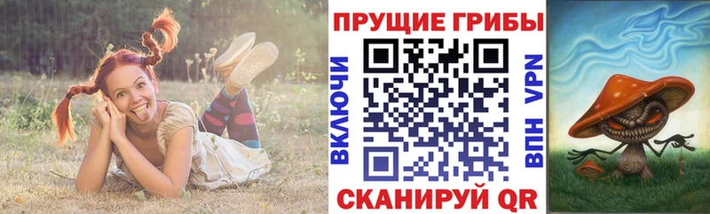 наркошоп  Шебекино  Галлюциногенные грибы Psilocybine cubensis 