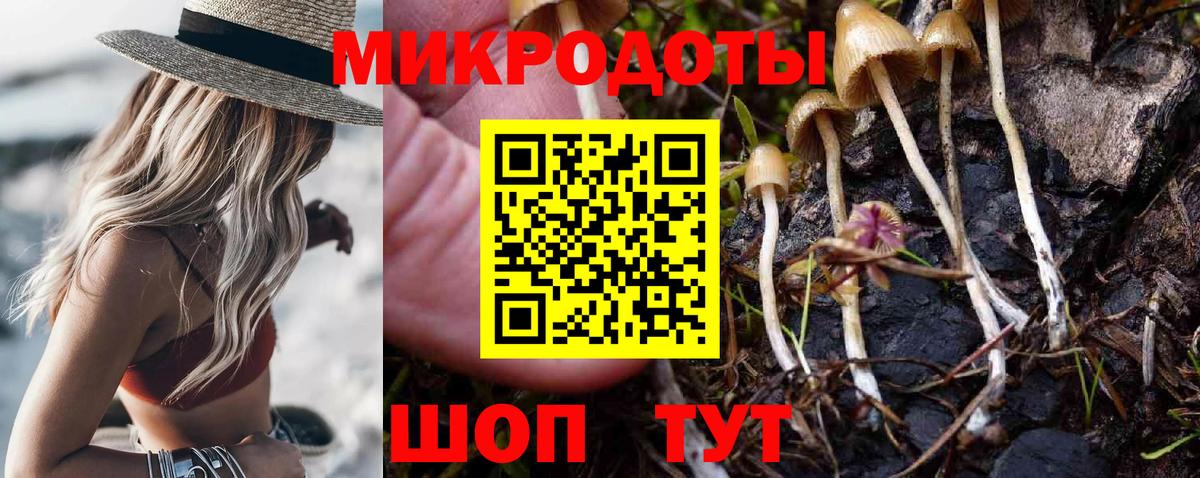 Галлюциногенные грибы Psilocybine cubensis Шебекино