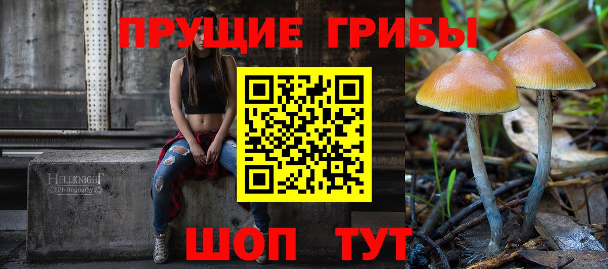 Галлюциногенные грибы Psilocybe  Вход с VPN  купить наркотики сайты  Шебекино 