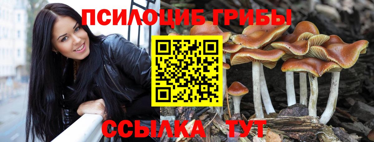 ГАШ  COCAIN  Марихуана  Шебекино  Мефедрон   Каннабис  Вход с VPN  Метамфетамин 
